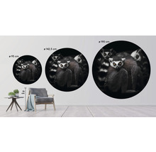 Papier peint panoramique intissé HRBC100008 Lémuriens Ø 142,5 cm