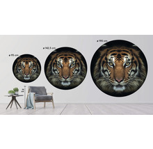 Papier peint panoramique intissé HRBC100009 Tigre Ø 142,5 cm