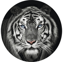 Fototapete Vlies HRBC100010 Tiger schwarz-weiß Ø 142,5 cm