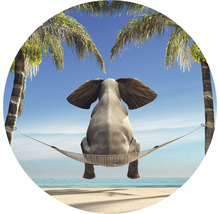 Papier peint panoramique intissé HRBC100019 Éléphant dans un hamac Ø 142,5 cm