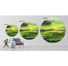 Papier peint panoramique intissé HRBC100023 Toscane 4 Ø 142,5 cm