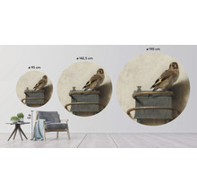Papier peint panoramique intissé HRBC100031 Carel Fabritius Le Chardonneret Ø 142,5 cm