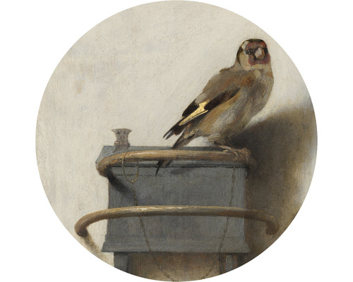 Papier peint panoramique intissé HRBC100031 Carel Fabritius Le Chardonneret Ø 142,5 cm