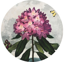 Illustration einer rosa blühenden Pflanze mit Insekten
