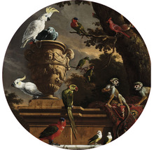Papier peint panoramique intissé HRBC100047 D'Hondecoeter La Ménagerie Ø 142,5 cm
