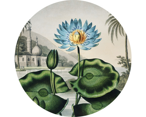 Papier peint panoramique intissé HRBC100050 Thornton Le nénuphar bleu d'Egypte Ø 142,5 cm Illustration d''un nénuphar avec des feuilles et une mosquée en arrière-plan
