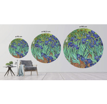 Papier peint panoramique intissé HRBC100051 Van Gogh Iris Ø 142,5 cm
