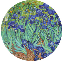 Papier peint panoramique intissé HRBC100051 Van Gogh Iris Ø 142,5 cm