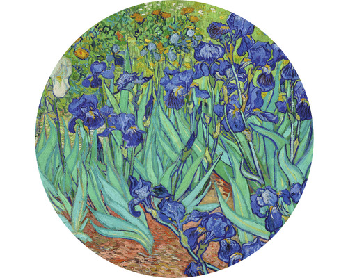 Papier peint panoramique intissé HRBC100051 Van Gogh Iris Ø 142,5 cm
