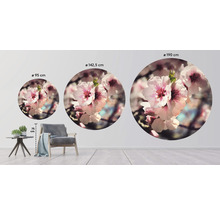 Papier peint panoramique intissé HRBC100063 Fleurs Ø 142,5 cm