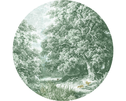 Fototapete Vlies HRBC100068 Hirsche im Wald Ø 142,5 cm