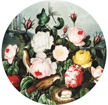 Fototapete Vlies HRBC100076 Thornton Blumen + Vogel Ø 142,5 cm