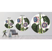 Papier peint panoramique intissé HRBC100078 Thornton passiflore Ø 142,5 cm