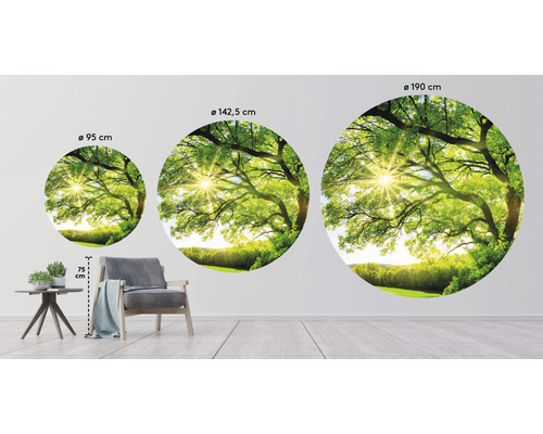 Drei runde Wandbilder mit einem Baum und Sonnenschein in den Größen 95 cm, 142,5 cm und 190 cm