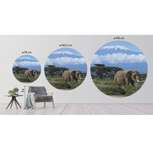 Fototapete Vlies HRBC100082 Kilimanjaro Elefant Ø 142,5 cm