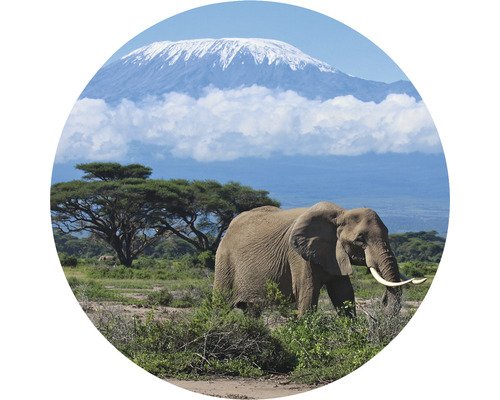 Papier peint panoramique intissé HRBC100082 Kilimanjaro Éléphant Ø 142,5 cm
