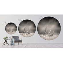 Papier peint panoramique intissé HRBC200004 Girafes Ø 190 cm