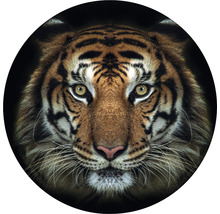 Fototapete Vlies HRBC200009 Tiger Ø 190 cm