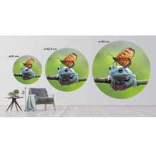 Papier peint panoramique intissé HRBC200012 Grenouille + Papillon Ø 190 cm