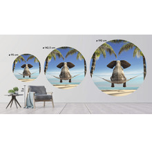 Papier peint panoramique intissé HRBC200019 Éléphant dans un hamac Ø 190 cm