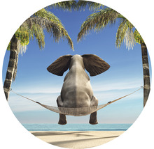 Image décorative d''un éléphant assis dans un hamac entre des palmiers sur la plage.
