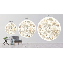 Papier peint panoramique intissé HRBC200097 Coquillages Ø 190 cm