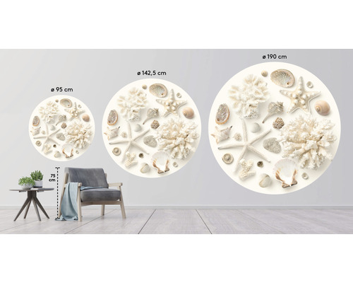 Image murale décorative avec coquillages et étoiles de mer en trois tailles différentes