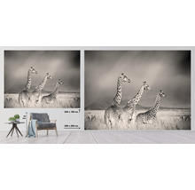 Papier peint panoramique intissé HRBP000004 Girafes 5 pces 243 x 184 cm
