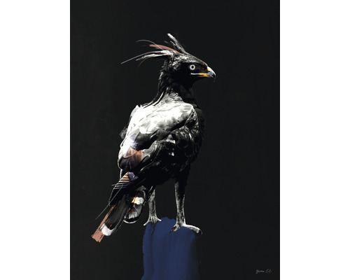 Impression d'art Eagle 18x24 cm