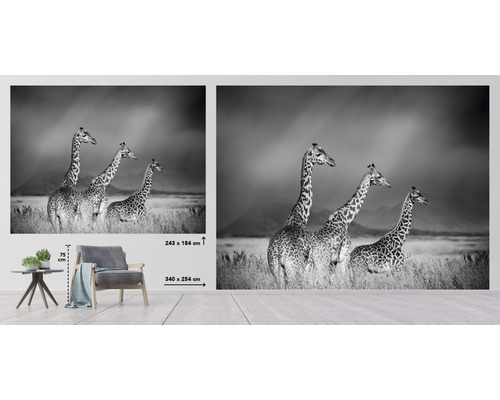 Papier peint photo avec motif de girafe au format paysage