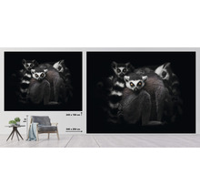 Papier peint panoramique intissé HRBP000008 Lémuriens 5 pces 243 x 184 cm
