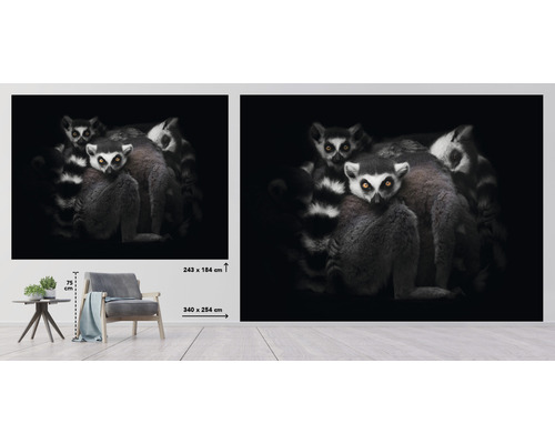 Papier peint photo avec motif de lémuriens pour la décoration murale