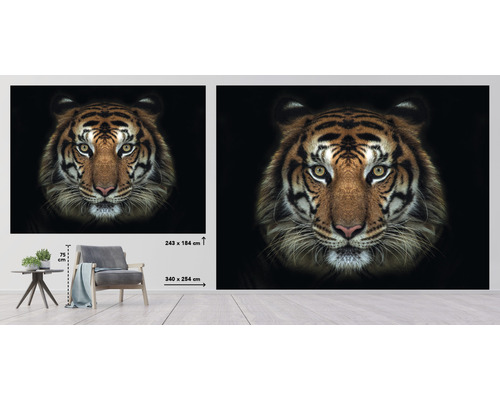 Papier peint avec motif de tigre en deux tailles