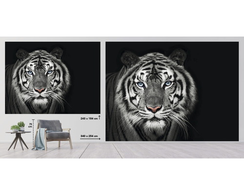 Papier peint avec motif de tigre, taille 340 x 254 centimètres