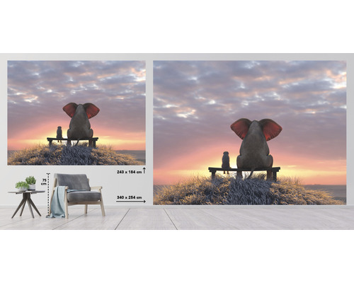 Papier peint photo avec éléphant et chien sur un banc devant le coucher de soleil, taille 340 x 254 cm
