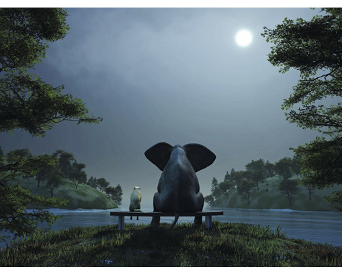 Papier peint panoramique intissé HRBP000015 Éléphant et chien 2 5 pces 243 x 184 cm