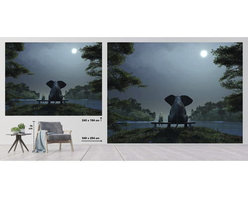 Papier peint photo avec éléphant, chat et lac de nuit, taille 340 x 254 centimètres