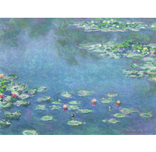 Papier peint panoramique intissé HRBP000036 Monet Les Nymphéas 5 pces 243 x 184 cm