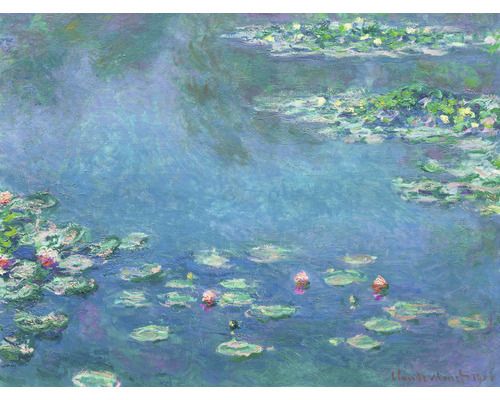 Papier peint panoramique intissé HRBP000036 Monet Les Nymphéas 5 pces 243 x 184 cm