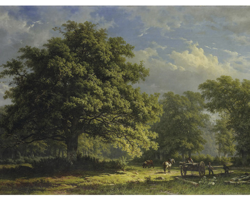 Papier peint panoramique intissé HRBP000044 George Andries Roth Bentheimer Vue sur la forêt 5 pces 243 x 184 cm