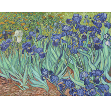 Fototapete Vlies HRBP000051 Van Gogh Schwertlilien 5-tlg. 243 x 184 cm