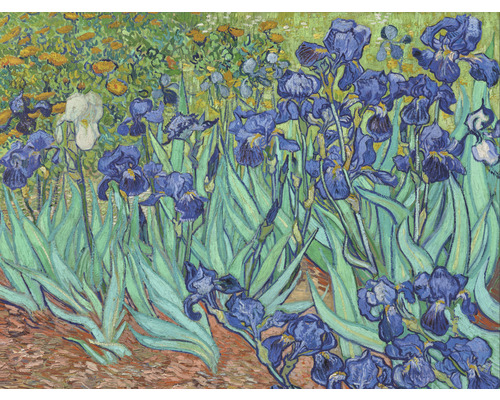 Papier peint panoramique intissé HRBP000051 Van Gogh Iris 5 pces 243 x 184 cm
