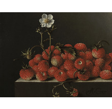 Fototapete Vlies HRBP000053 Adriaen Coorte Stilleben mit Erdbeeren 5-tlg. 243 x 184 cm