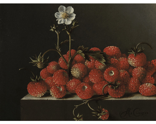 Papier peint panoramique intissé HRBP000053 Adriaen Coorte Nature morte aux fraises 5 pces 243 x 184 cm