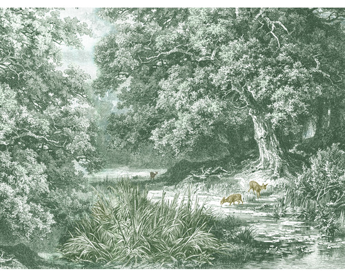 Papier peint panoramique intissé HRBP000068 Cerfs dans la forêt 5 pces 243 x 184 cm