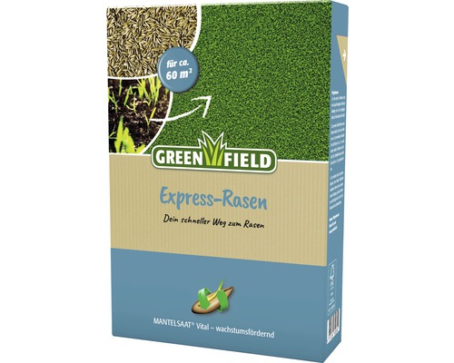 Semences de gazon pour pelouse express Greenfield 1 kg 60 m² Greenfield Express Gazon pour environ 60 mètres carrés