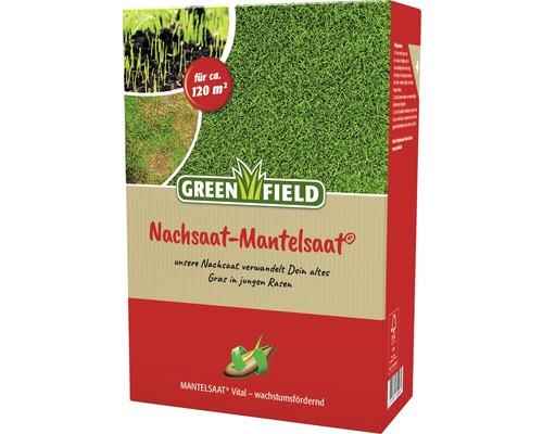 Semences de gazon pour réensemencement Greenfield 2 kg 120 m² Greenfield Sursemis de regarnissage pour environ 120 mètres carrés
