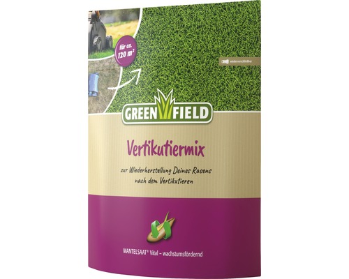 Semences de gazon Greenfield mélange de scarification 2,5 kg 120 m² Greenfield Vertikutiermix pour la rénovation du gazon après le scarifiage, suffisant pour environ 120 mètres carrés
