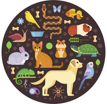 Illustration verschiedener Haustiere wie Hund, Katze, Vogel und Reptil