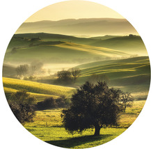 Papier peint panoramique intissé HRBC200085 Toscane Ø 190 cm